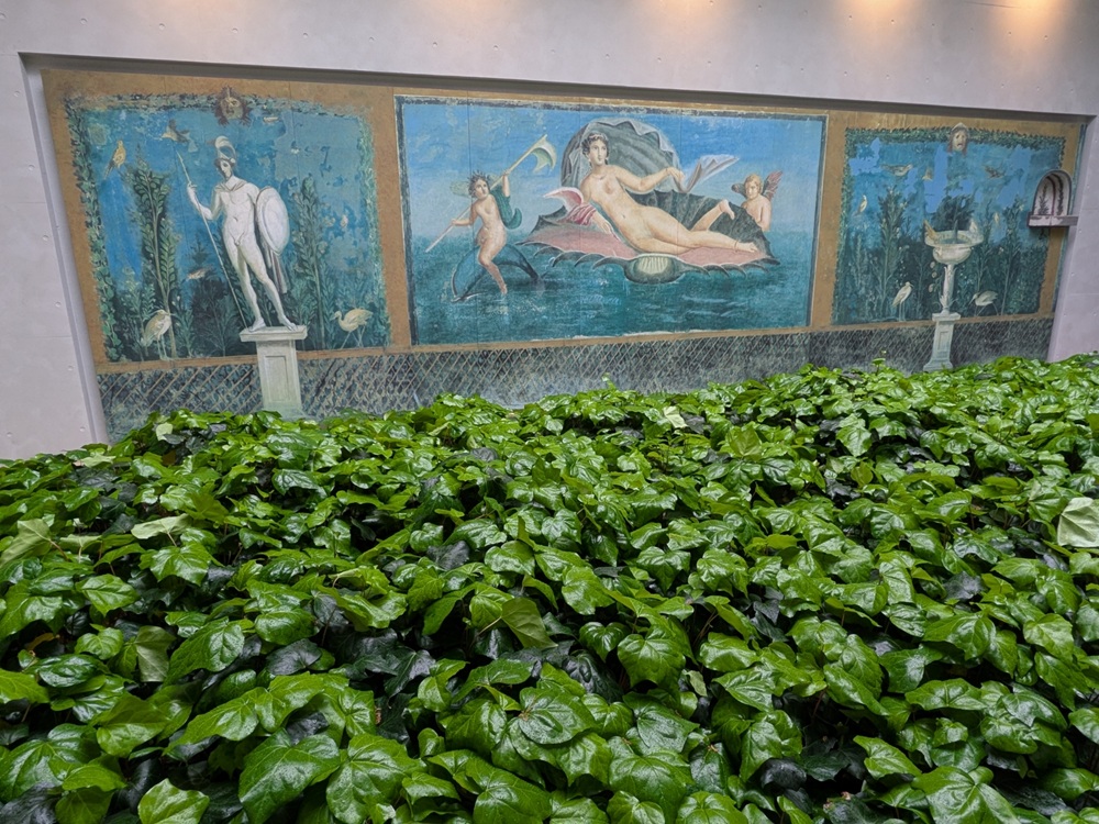 ポンペイ壁画 貝殻のヴィーナス 環境展示